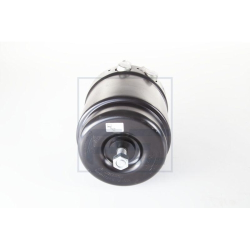 PE Automotive Federspeicherbremszylinder 076.0003-00A