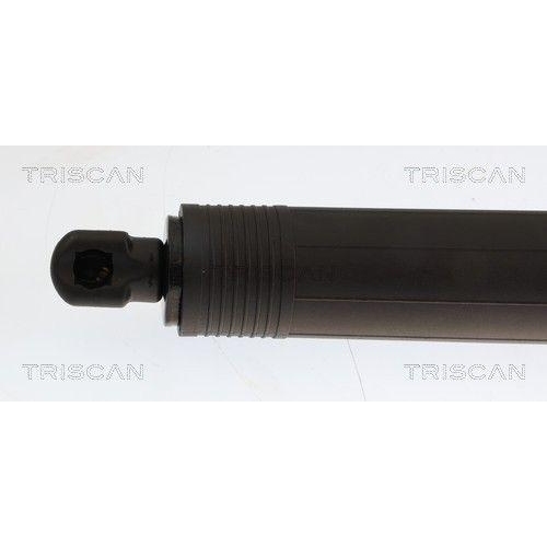 TRISCAN Gasfeder, Koffer-/Laderaum 8710 29349