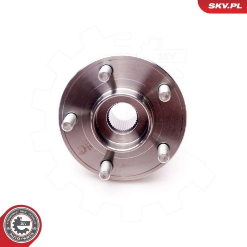 ESEN SKV Radlagersatz 29SKV165