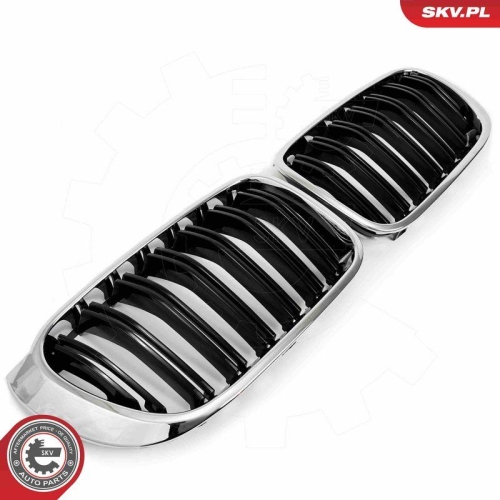 ESEN SKV Kühlergitter