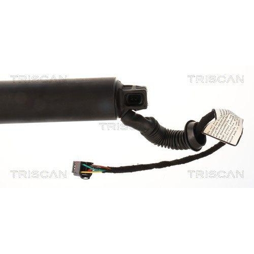 TRISCAN Gasfeder, Koffer-/Laderaum 8710 29350