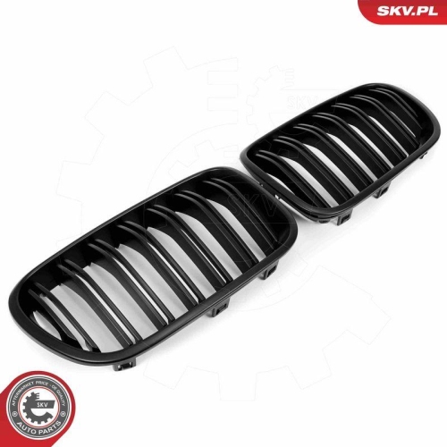 ESEN SKV Kühlergitter
