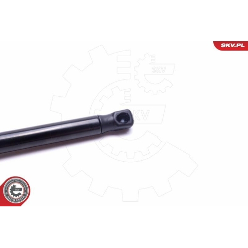 ESEN SKV Gasfeder, Koffer-/Laderaum