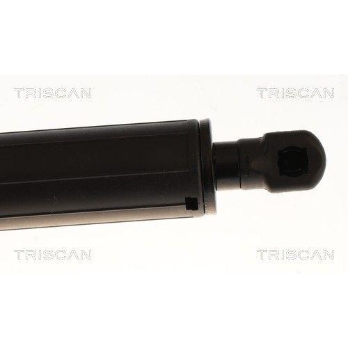 TRISCAN Gasfeder, Koffer-/Laderaum 8710 43254