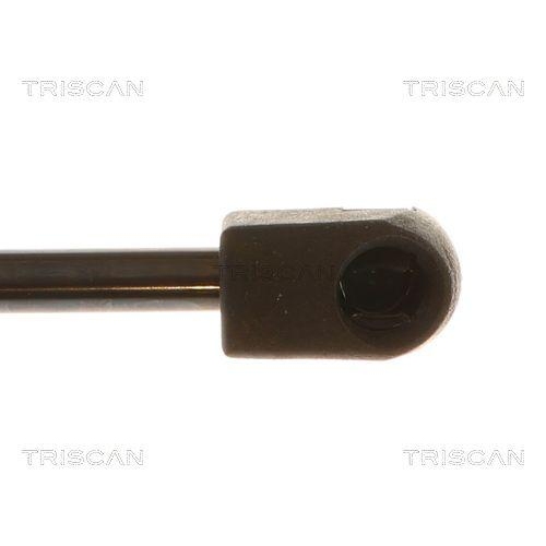 TRISCAN Gasfeder, Koffer-/Laderaum 8710 80221