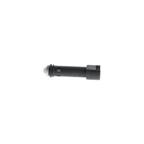 BOSCH Ventil, Einspritzanlage 1 467 C45 007