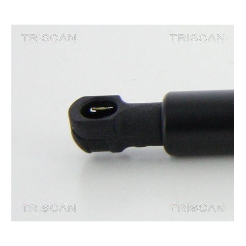 TRISCAN Gasfeder, Koffer-/Laderaum 8710 11240