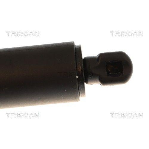 TRISCAN Gasfeder, Koffer-/Laderaum 8710 84301