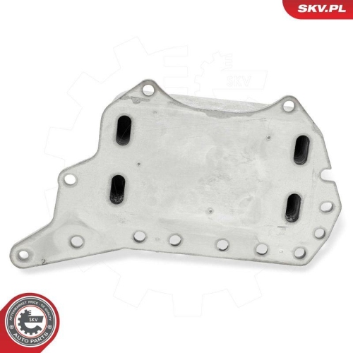 ESEN SKV &Ouml;lk&uuml;hler, Motor&ouml;l 31SKV306