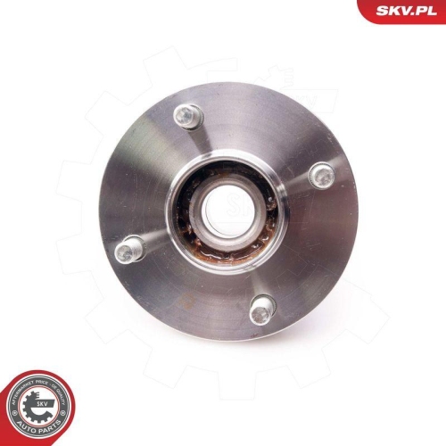 ESEN SKV Radlagersatz 29SKV170