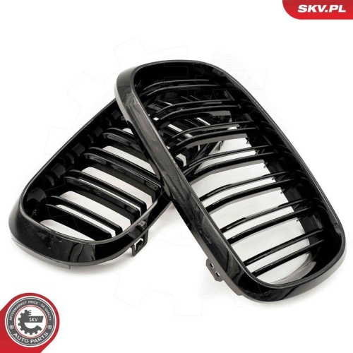 ESEN SKV Kühlergitter
