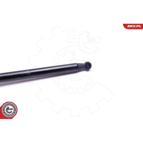 ESEN SKV Gasfeder, Koffer-/Laderaum