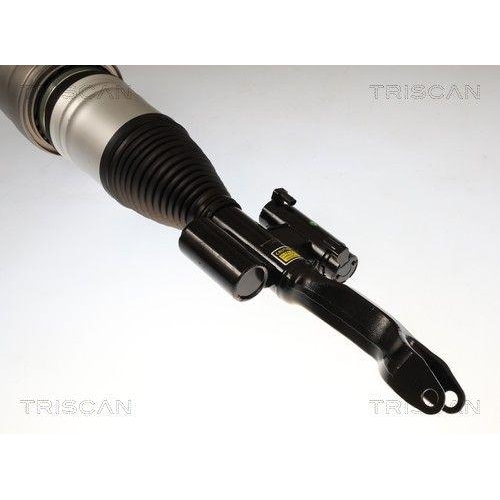 TRISCAN Luftfederbein 8720 23109