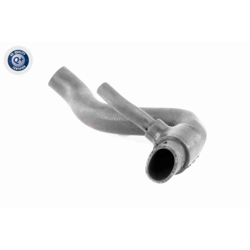 VAICO Kühlerschlauch Q+, Erstausrüsterqualität V30-1951