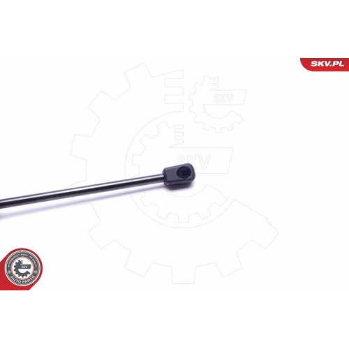 ESEN SKV Gasfeder, Koffer-/Laderaum