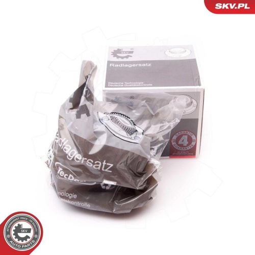 ESEN SKV Radlagersatz 29SKV175