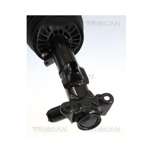 TRISCAN Luftfederbein 8720 23113