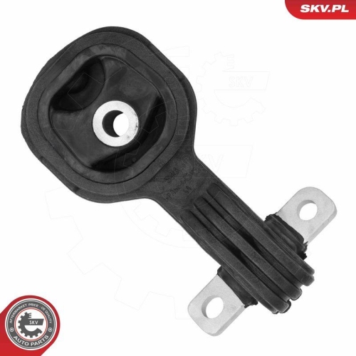 ESEN SKV Lagerung, Motor 75SKV313