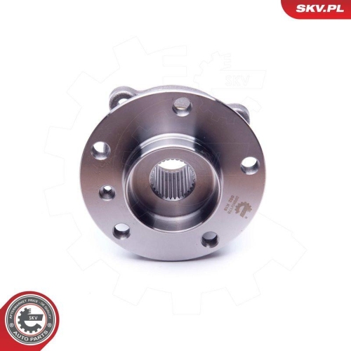 ESEN SKV Radlagersatz 29SKV176