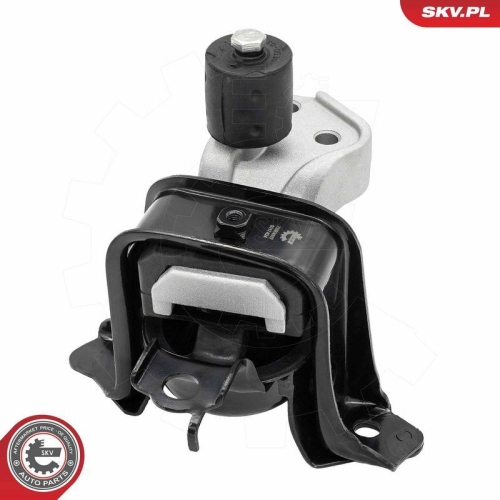 ESEN SKV Lagerung, Motor 75SKV317
