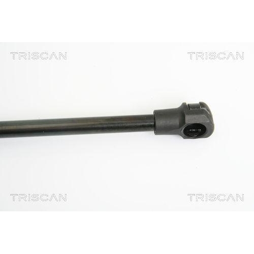 TRISCAN Gasfeder, Koffer-/Laderaum 8710 14245