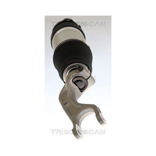 TRISCAN Luftfederbein 8720 81103