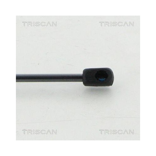 TRISCAN Gasfeder, Koffer-/Laderaum 8710 15255