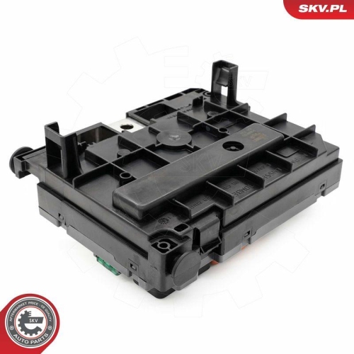 ESEN SKV Steuerger&auml;t, Motormanagement 96SKV323