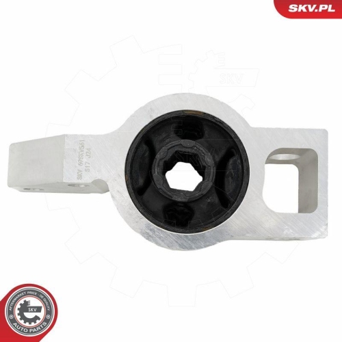 ESEN SKV Lagerung, Lenker 69SKV561