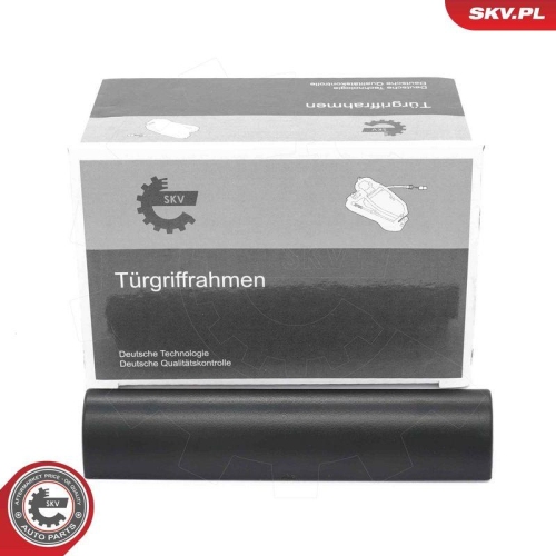 ESEN SKV T&uuml;rgriff, Innenausstattung 97SKV014