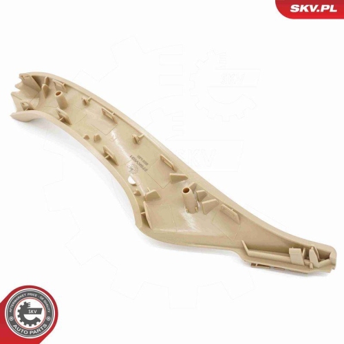 ESEN SKV Türgriff, Innenausstattung