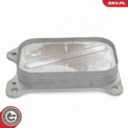 ESEN SKV &Ouml;lk&uuml;hler, Motor&ouml;l