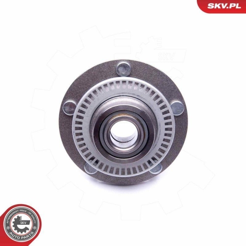 ESEN SKV Radlagersatz 29SKV183