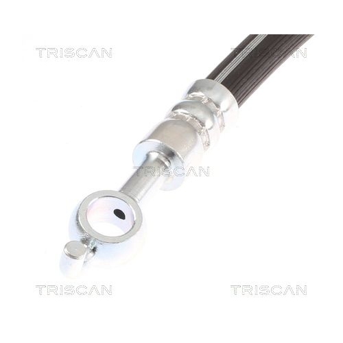 TRISCAN Bremsschlauch 8150 21310