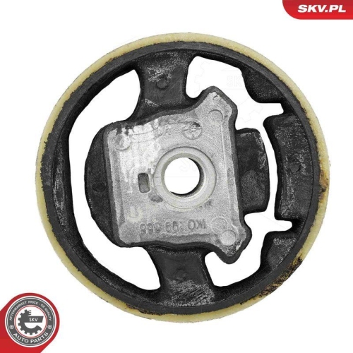 ESEN SKV Lagerung, Motor