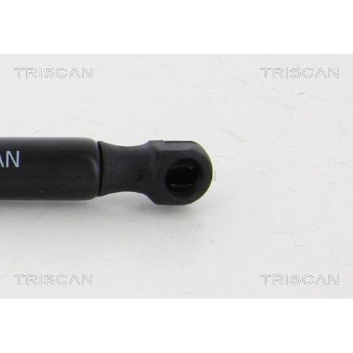 TRISCAN Gasfeder, Koffer-/Laderaum 8710 23244