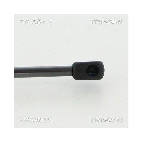 TRISCAN Gasfeder, Koffer-/Laderaum 8710 23250