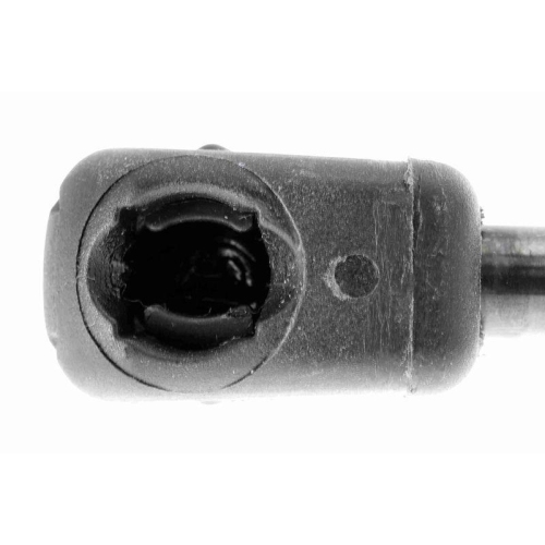 VAICO Gasfeder, Koffer-/Laderaum Original VAICO Qualität