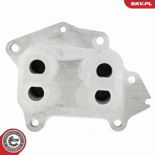 ESEN SKV &Ouml;lk&uuml;hler, Motor&ouml;l 31SKV381
