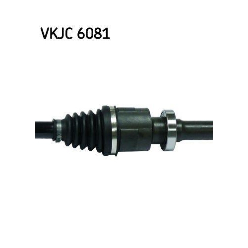 SKF Antriebswelle VKJC 6081