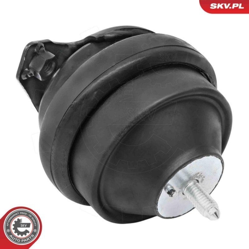 ESEN SKV Lagerung, Motor