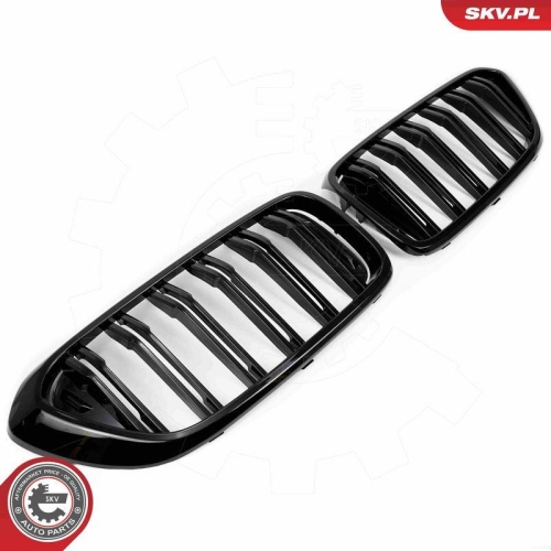 ESEN SKV Kühlergitter