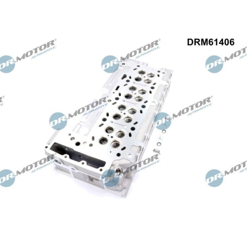 Dr.Motor Automotive Zylinderkopf DRM61406