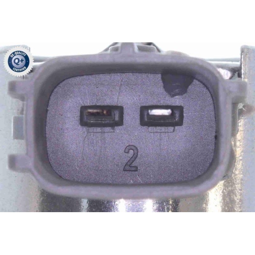 ACKOJA Hochdruckpumpe Green Mobility Parts A32-25-0001