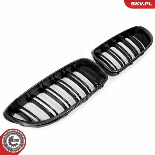 ESEN SKV Kühlergitter