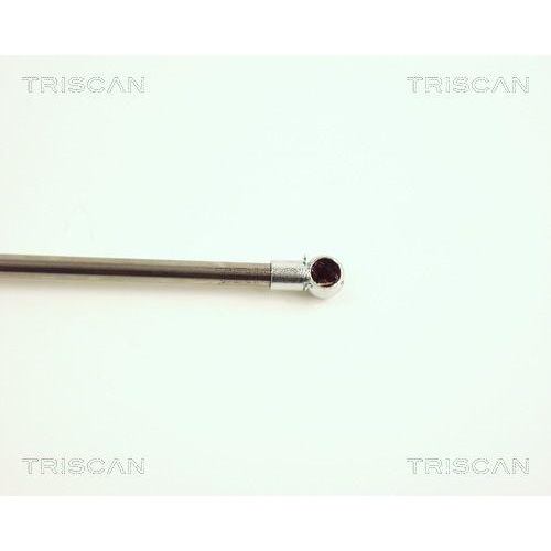 TRISCAN Gasfeder, Koffer-/Laderaum 8710 25223