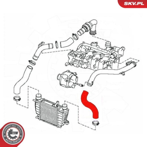 ESEN SKV Ladeluftschlauch 54SKV013