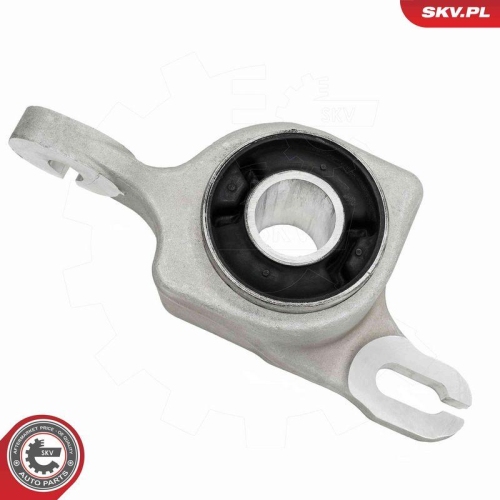 ESEN SKV Lagerung, Lenker