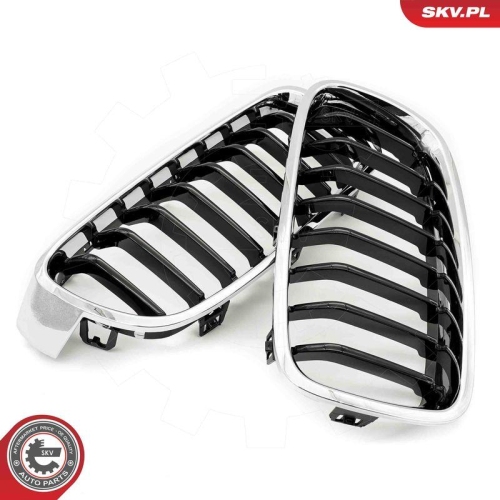 ESEN SKV Kühlergitter