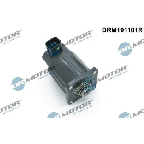 Dr.Motor Automotive AGR-Ventil DRM191101R